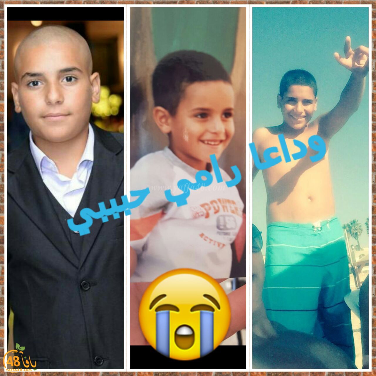 ramy shamlea 3a (2).jpg